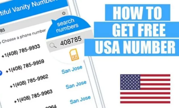 Free USA Number in Nigeria