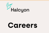 Halcyon Careers