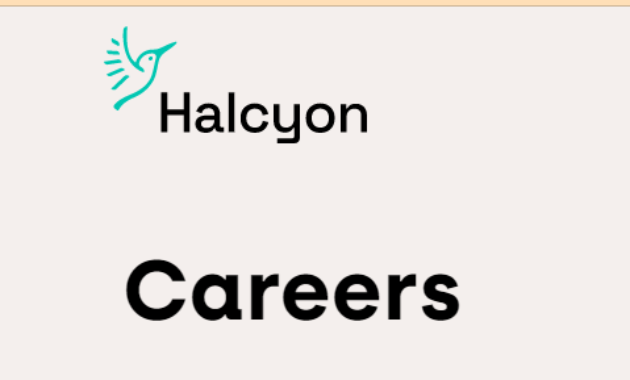 Halcyon Careers