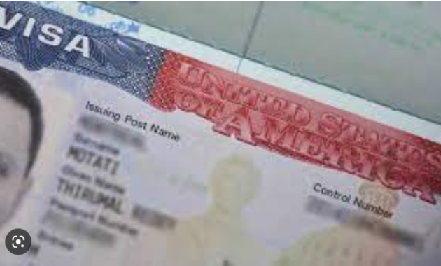 USA Visitor visa