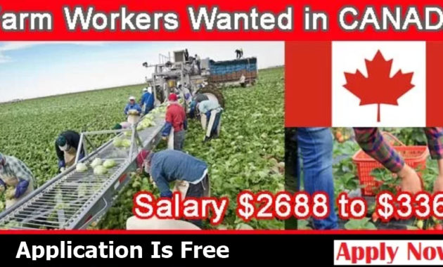 farmworker-canada