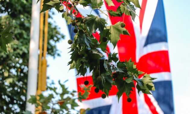 United Kingdom flag near green leaf tree during daytime