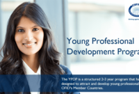 young-professional-development-program