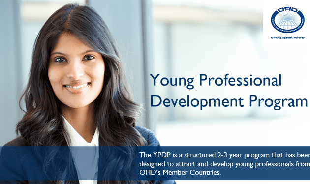 young-professional-development-program