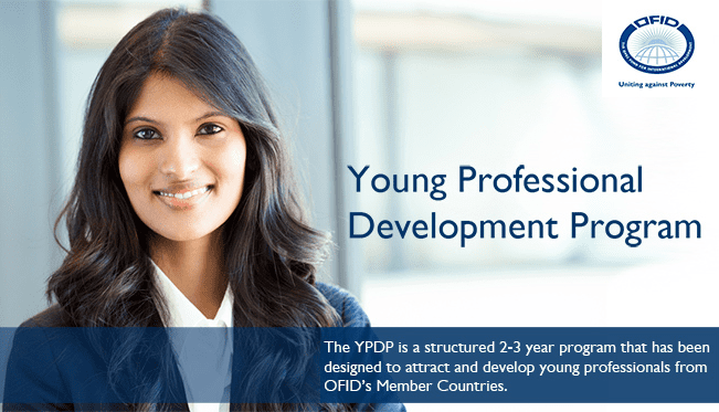 young-professional-development-program