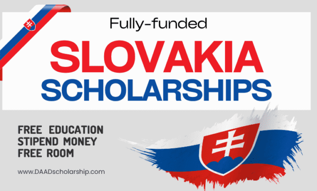 Slovakia Government Scholarships