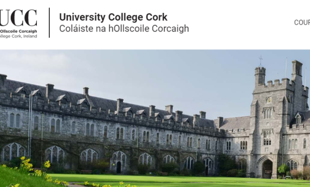 University College Cork Scholarships for International Students