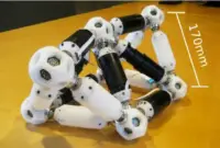 Modular Robotics