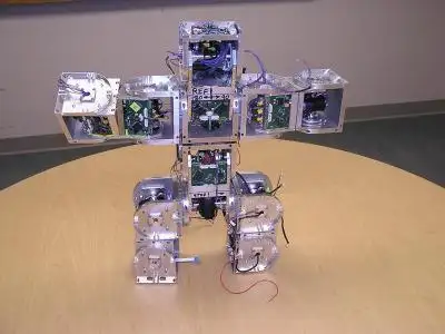 Modular Robotics